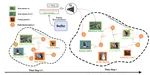 Continual zero-shot learning through semantically guided generative random walk